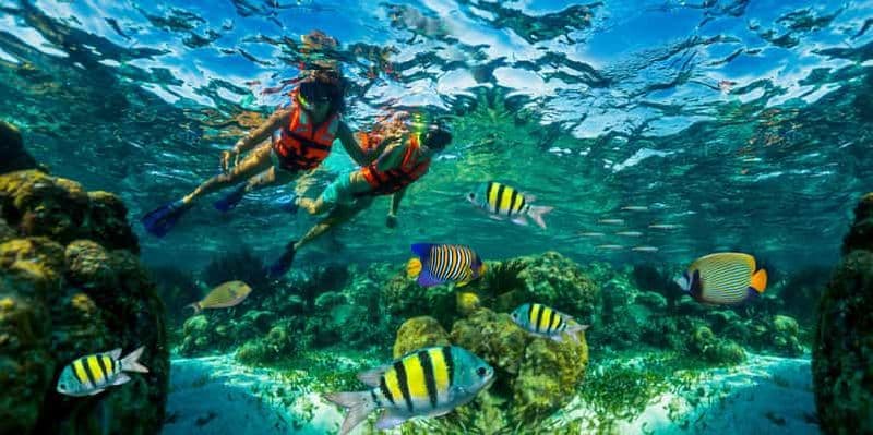 Billet Cancún : excursion de snorkeling au récif de Puerto Morelos et déjeuner en bord de mer
