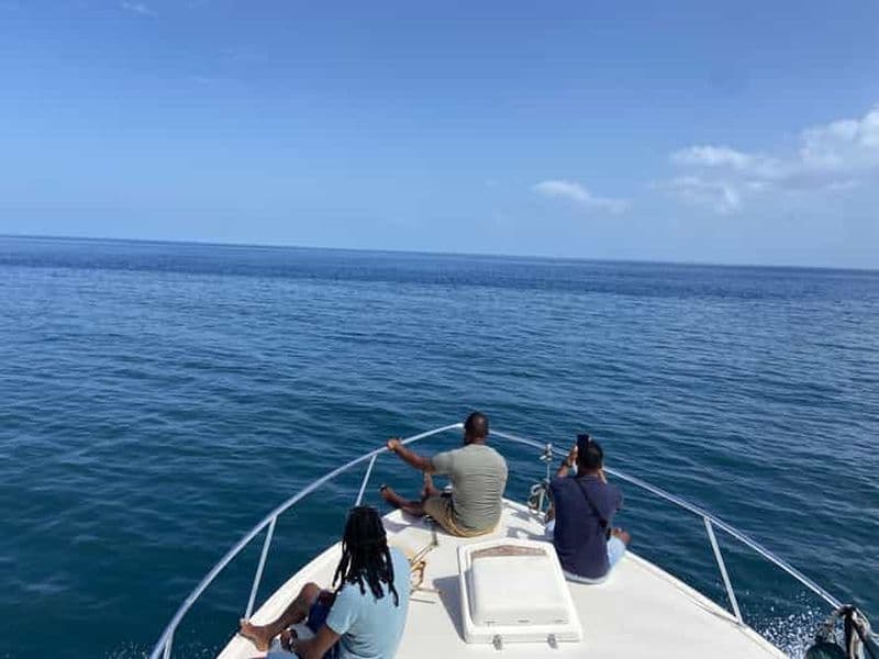 Dominique : Observation des baleines à la manière d'une île