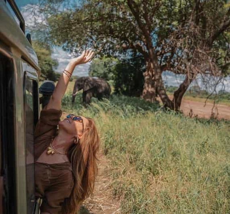 Billet Arusha : Safari de 3 jours au Serengeti et au cratère du Ngorongoro pour observer les Big Five