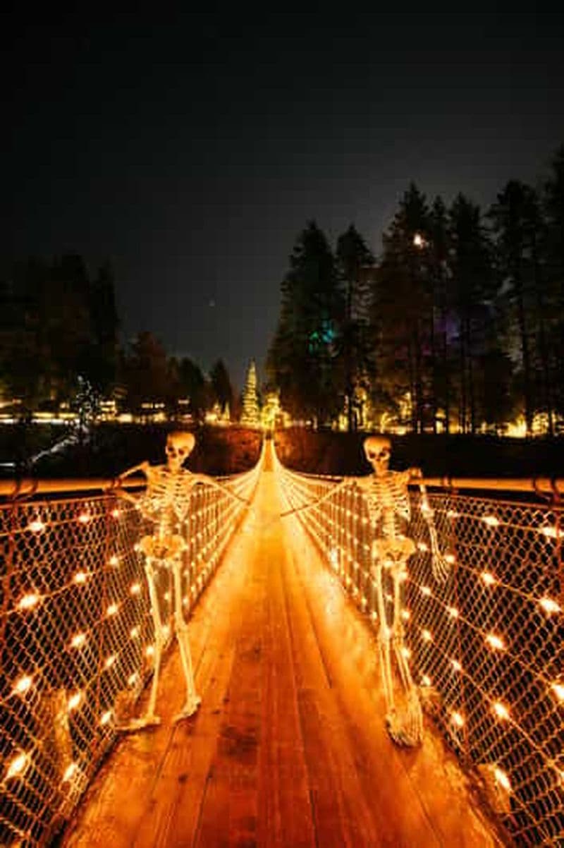 Pont suspendu de Capilano, Canyon Lights et 4 temps forts