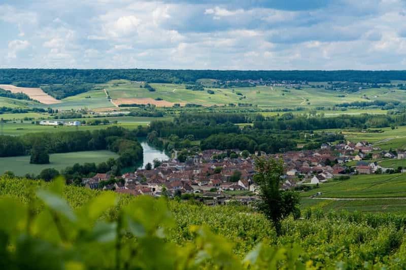 Billet Epernay : Navette vers une sortie botanique