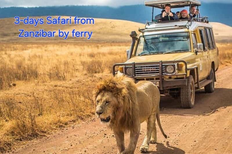 Billet SÉJOUR DE 3 JOURS ET 2 NUITS : SAFARI DE ZANZIBAR À MIKUMI EN FERRY.