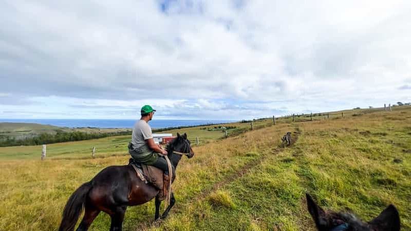 Excursion à cheval à Terevaka : Le point le plus haut et une vue à 360°.