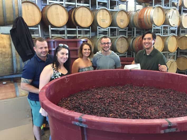 Au départ de Canberra : visite d'un vignoble, d'une distillerie et dégustation avec déjeuner