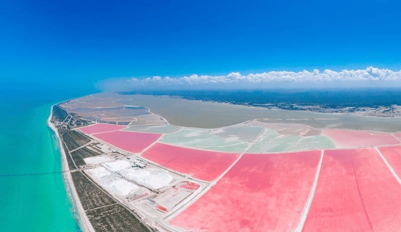 Billet Depuis Mérida : Las Coloradas, Rio Lagartos et excursion à la plage
