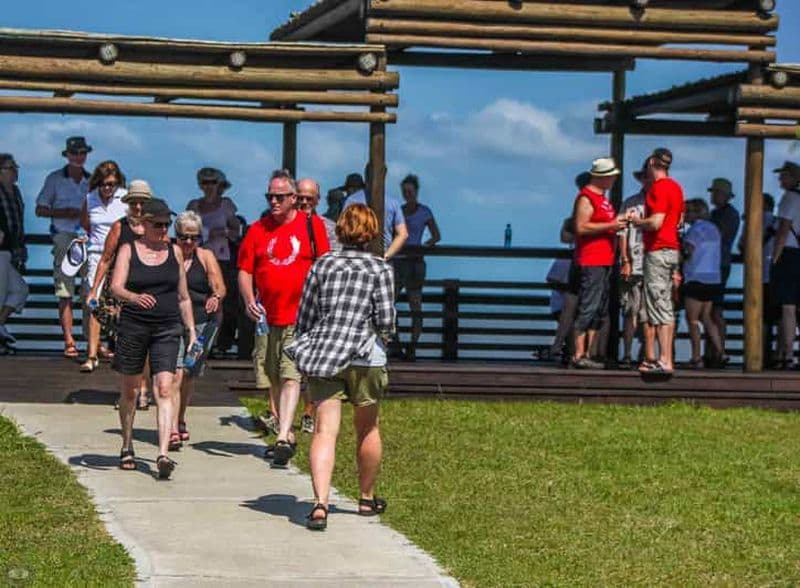 Billet Sainte-Lucie : parc des zones humides d'iSimangaliso : visite d'une jounée/visite d'une demi-journée