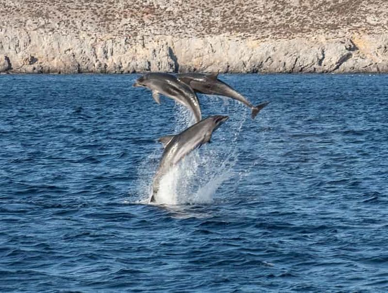 Au départ d'Ag Anna : grotte de Rina et croisière à Ano et Kato Koufonisi
