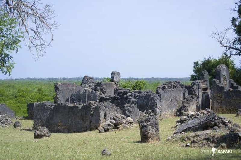 Billet Excursion à vélo vers les ruines de Tongoni - depuis la ville de Tanga