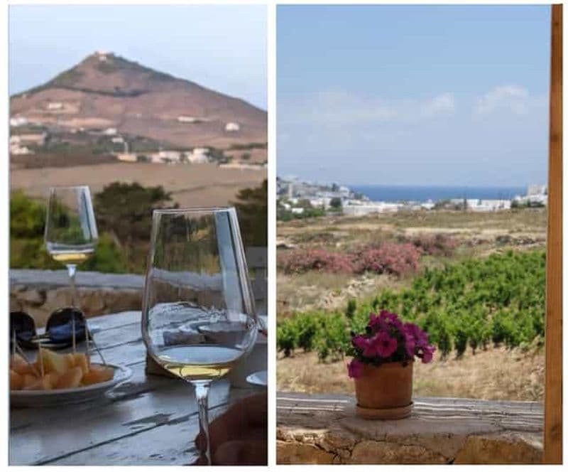 Paros : Dégustation de vin dans une cave locale