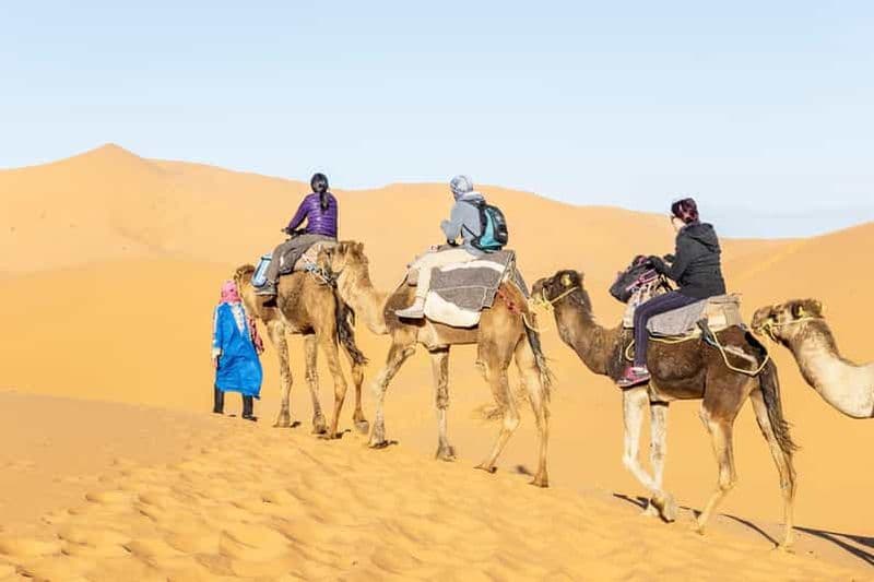 Billet Au départ de Ouarzazate : vallée du Draa, balade à dos de chameau et excursion dans les dunes de Tinfou