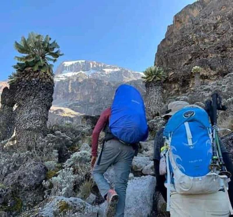 Billet Mont Kilimandjaro : randonnée de 6 / 7 jours - Itinéraire Lemosho