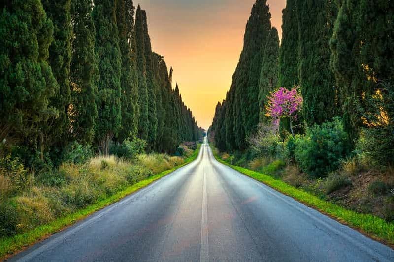 Billet Au départ de Florence : Voyage à San Gimignano, Volterra et Bolgheri