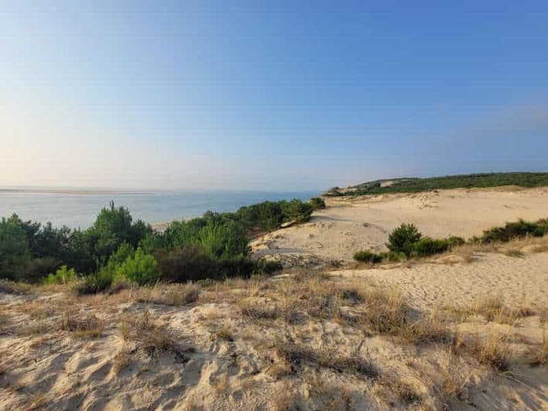 From Bordeaux: Dune du Pilat, Arcachon Bay and Oyster Village Private Tour