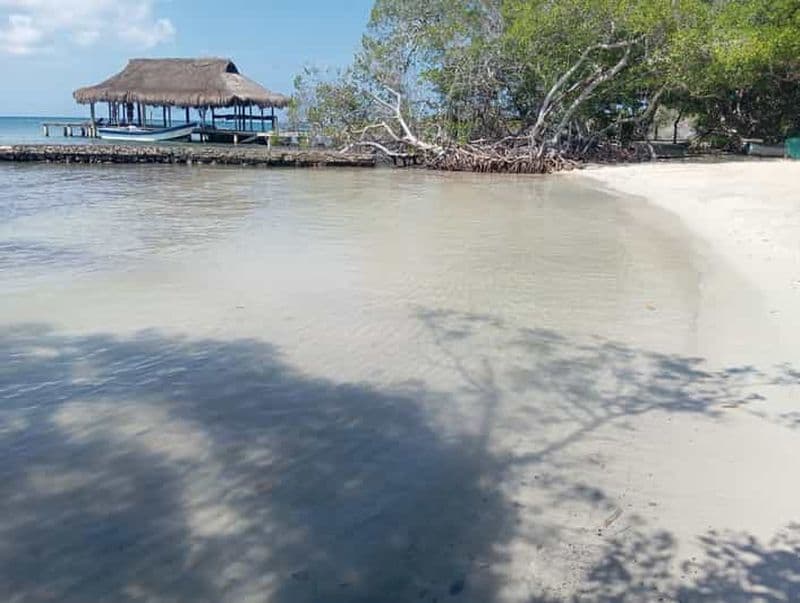 Billet Carthagène : Croisière vers les Islas del Rosario avec repas
