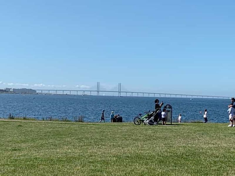 Malmö : Visite guidée à pied de 3 heures