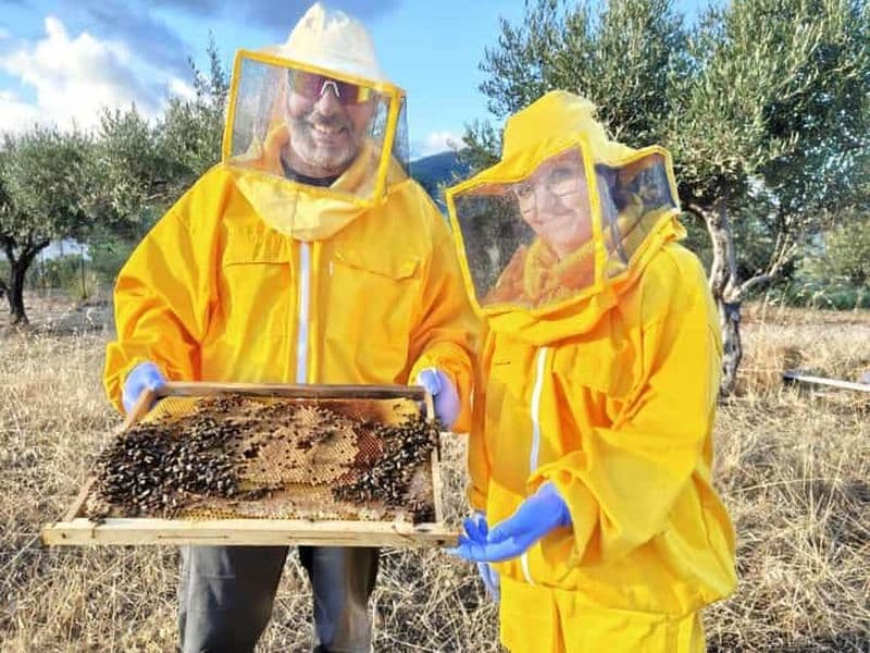 Isnesso : excursion à vélo dans les montagnes Madonie avec visite d'un rucher