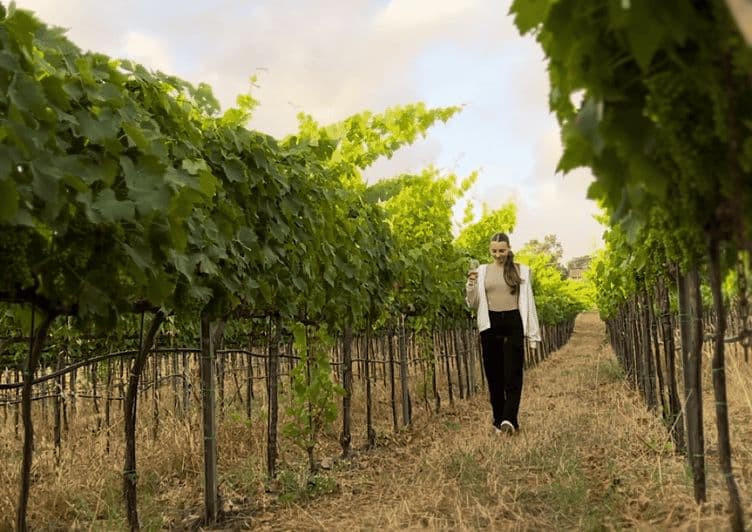 Tropea : Dégustation de vins et de mets