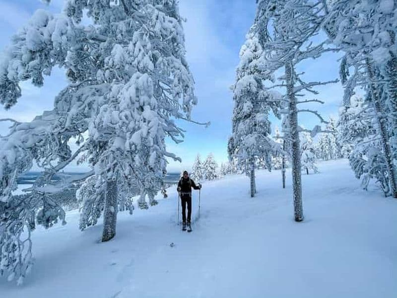 Billet Pyhätunturi : visite privée de ski dans la nature sauvage avec un guide de la région