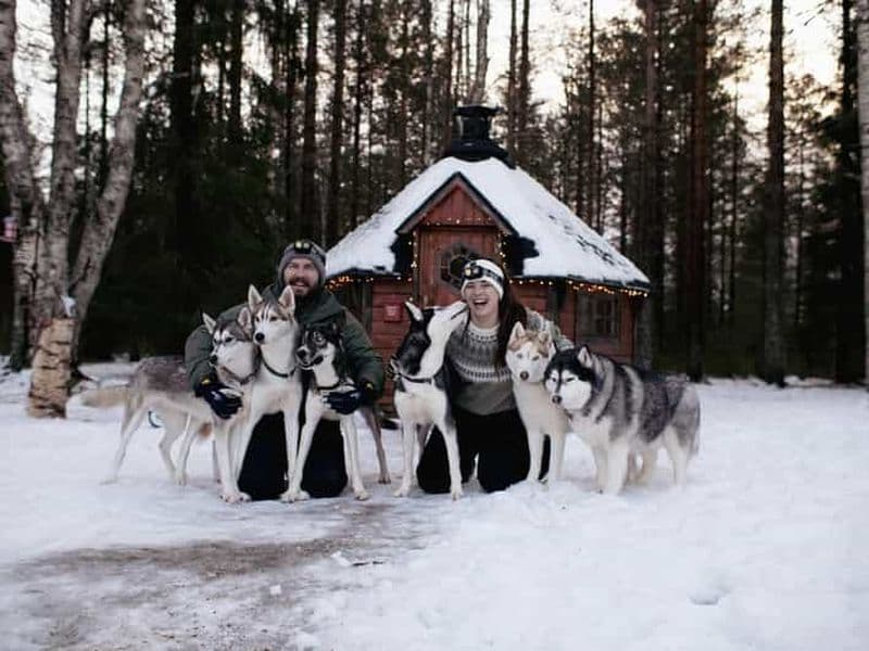 Billet Överkalix - Laponie : Rencontre privée avec des huskies et fika