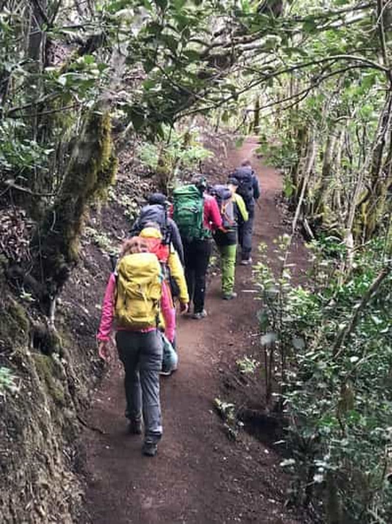 Billet Ténérife : Senderismo Anaga, Bosque Mágico, Reserva Biosfera