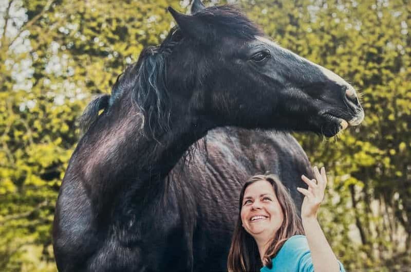 Equicoaching - expérimenter la connexion avec les chevaux en Normandie