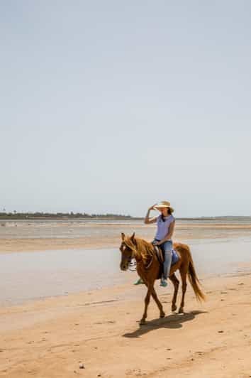 Hammamet : visite guidée à cheval