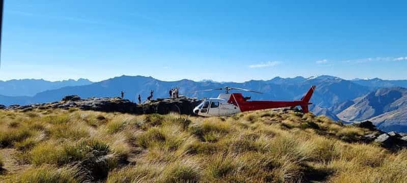 Queenstown : Vol panoramique en hélicoptère dans les Alpes