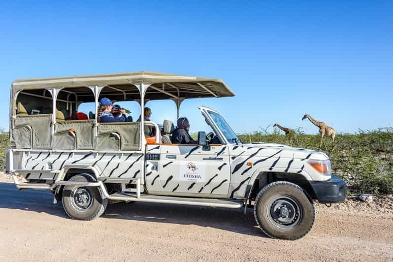 Billet Safari de 3 jours à Etosha Camp Gondwana au départ de Windhoek