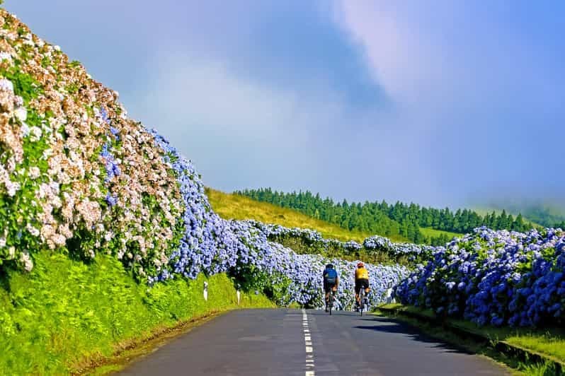 Billet Visite en Jeep de Sete Cidades d'une demi-journée