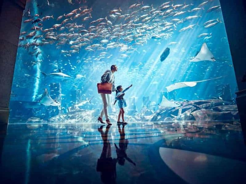 Billet Dubaï : billet d'entrée pour l'aquarium Atlantis Lost World