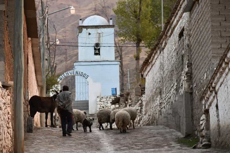 Billet Humahuaca - Calilegua : Overland de la Quebrada aux Yungas de Jujuy