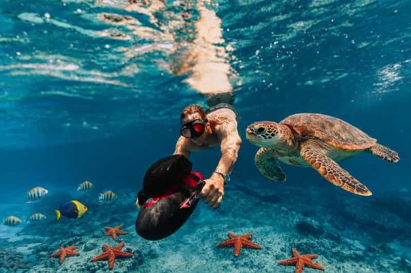 Billet Martinique : Nage avec les tortues en scooter sous-marin électrique