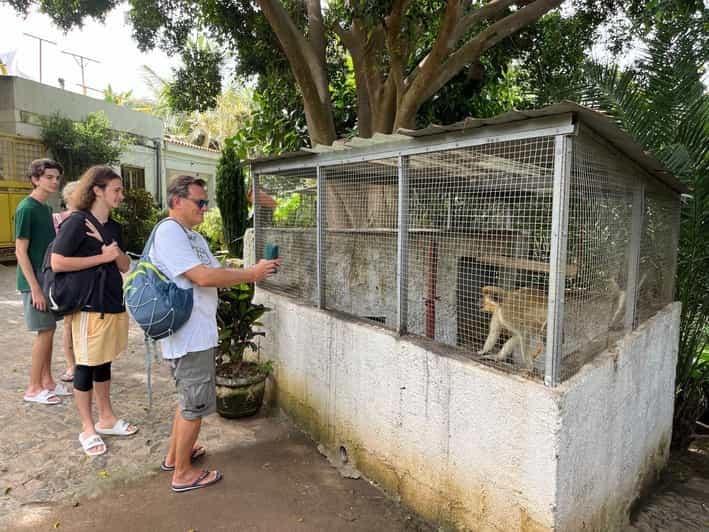 Praia : excursion d'une journée à Assomada avec cuisine, dégustation et danse
