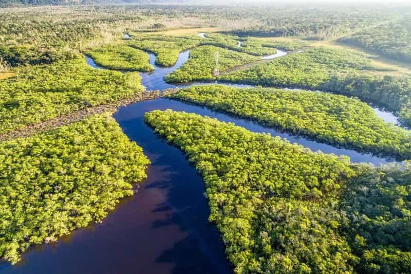 Manaus : randonnée dans la jungle amazonienne et l'archipel d'Anavilhanas