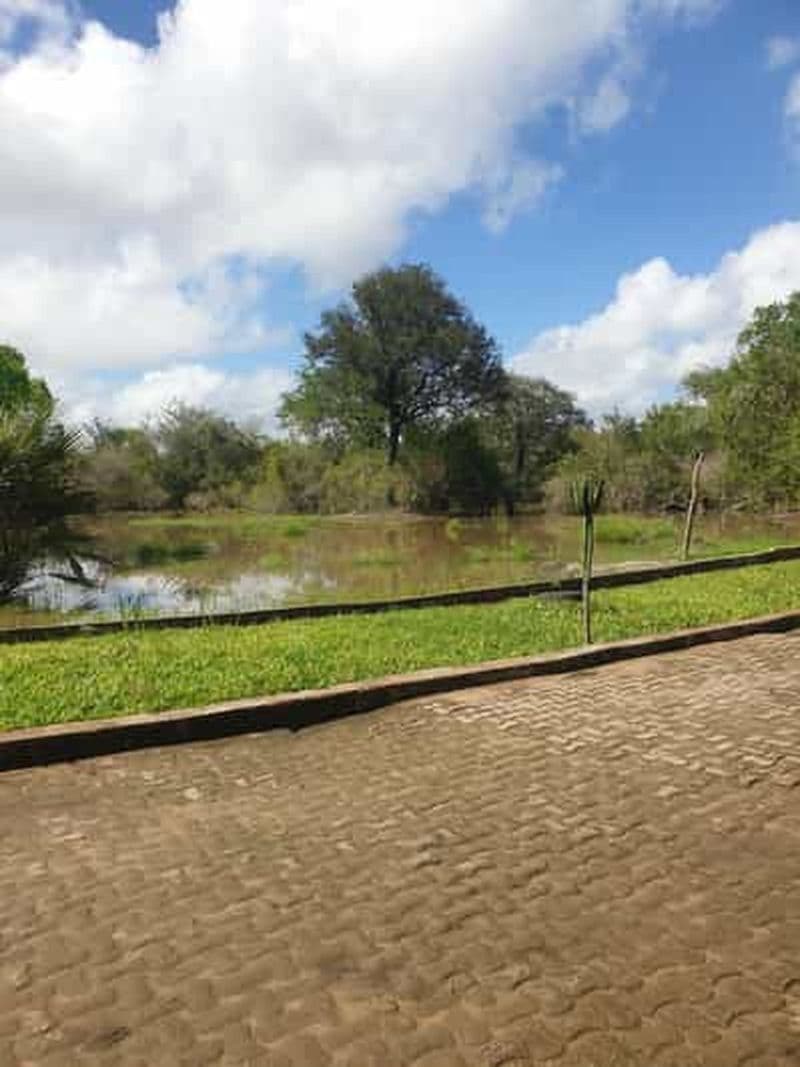 Billet 3 JOURS DE PARC NATIONAL NYERERE DEPUIS ZANZIBAR PAR VOL.