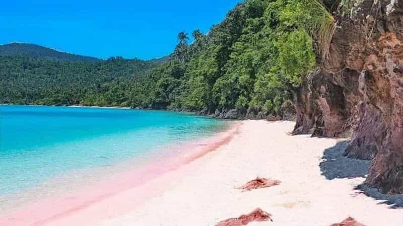Billet Bicol Philippines : Excursion d'une journée à Matnog Sorsogon avec la plage de Subic