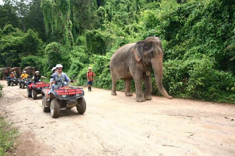 Chiang Mai : Excursion en quad