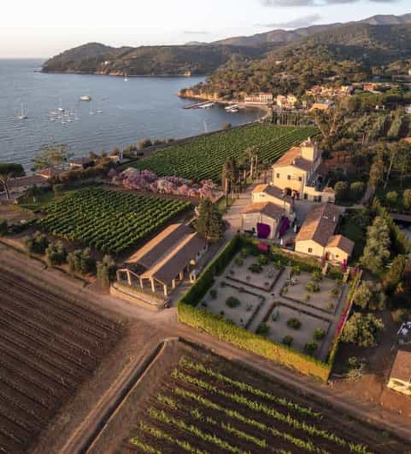 Portoferraio : Visite guidée des vignobles et dégustation de vins en cave