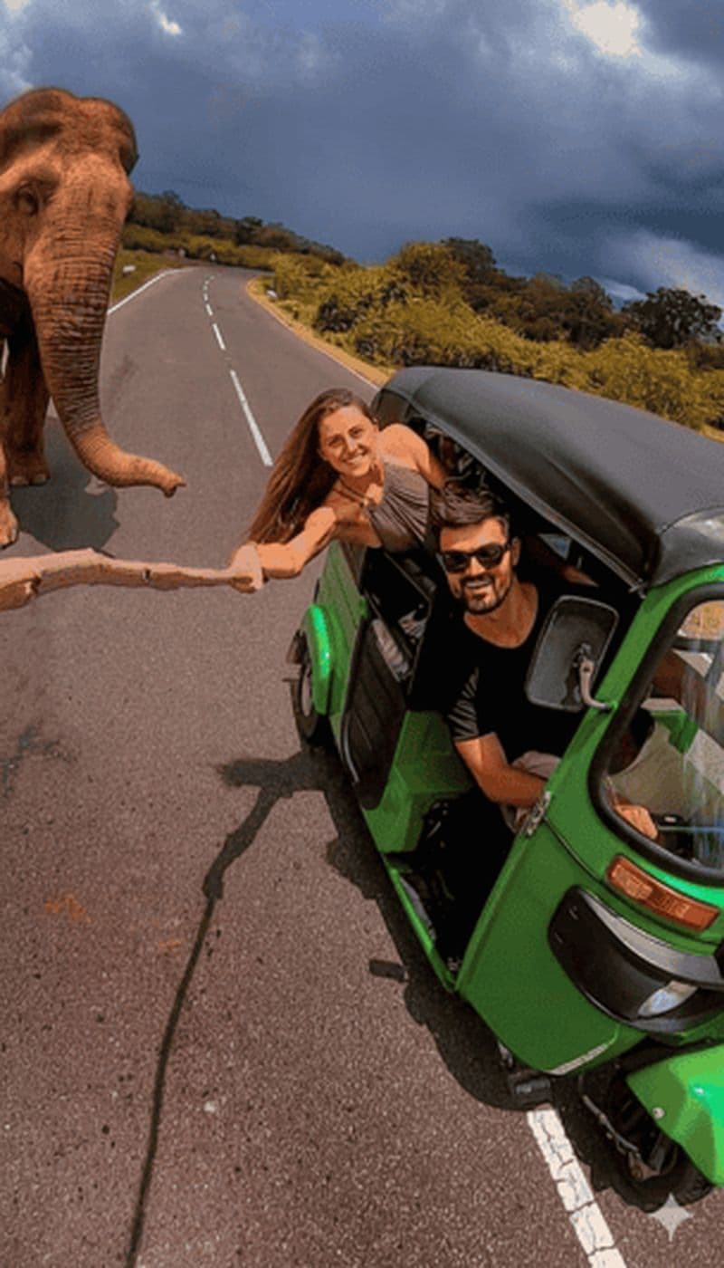 Billet Jaipur : visite privée d'une journée en tuk-tuk