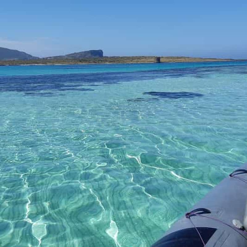 Billet Excursion d'une demi-journée à l'Asinara et à la Pelosa