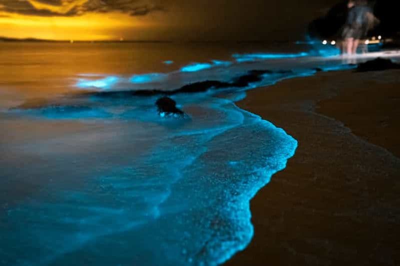 Billet Phuket : Le plancton bioluminescent de la baie de Phang Nga et les canoës de mer