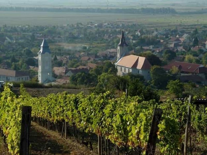 Billet Dégustation de vins à Tokaj, excursion privée d'une journée au départ de Budapest