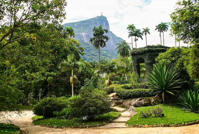 Billet Rio de Janeiro : Visite guidée du jardin botanique