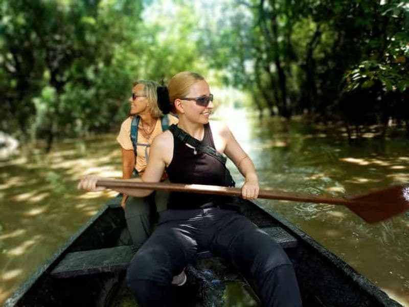 Billet Safari de 3 jours avec des éléphants dans le parc national de Mole, vol inclus
