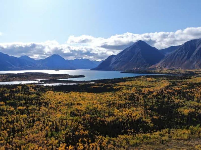 Whitehorse : Kluane - Faune et panoramas
