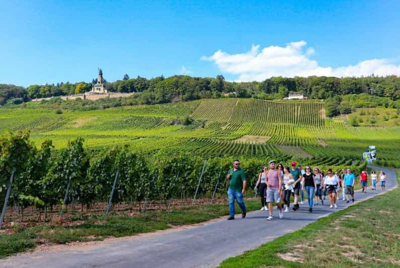 Rüdesheim - Randonnées viticoles guidées avec 4 vins et téléphérique