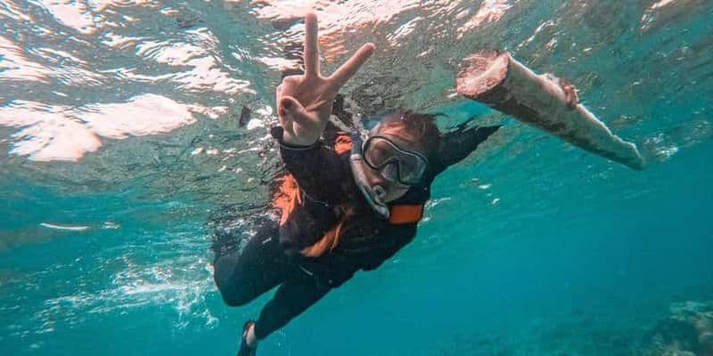 Bohol : observation des dauphins et aller d'île en île à Balicasag