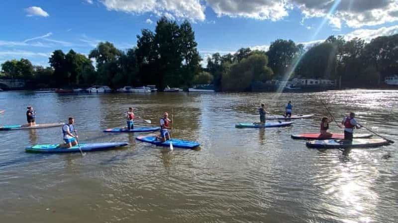 Teddington : Expérience de paddleboard sur la Tamise