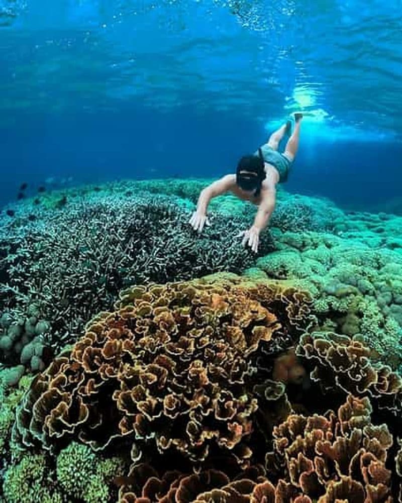 Billet "Visite privée : Pink Beach Lombok Gili Islands & Sand Island" (en anglais)