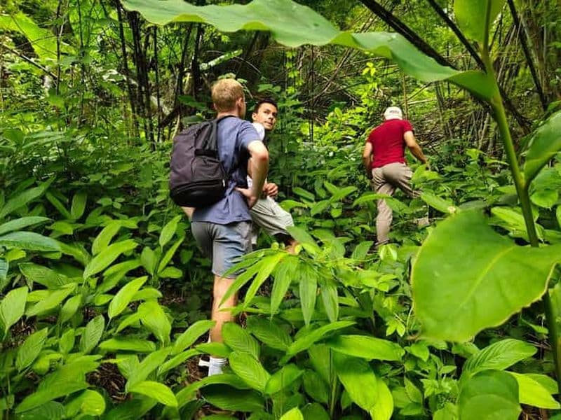 Chiang Rai : Aventure dans la jungle - Trekking en groupe et cuisine de bambou